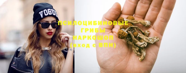 мдпв Медвежьегорск