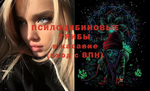 бутират Медногорск
