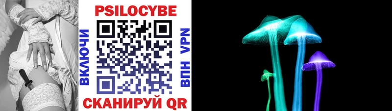 Галлюциногенные грибы Cubensis  где купить наркоту  kraken рабочий сайт  Ветлуга 